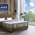 Big Koil 2nd Gen Serene
