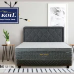 Big Koil 1st Gen Delight
