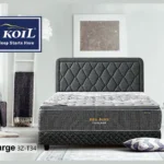 Big Koil 1st Gen Recharge