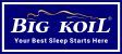LOGO BIGKOIL (NEW) LOGO BIGKOIL (NEW)